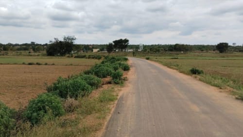 An image of land