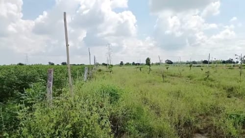 An image of land