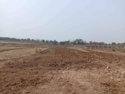 Land in Lingareddipet village, Manoharabad mandal, Medak district - land 2469