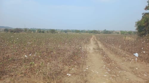 An image of land