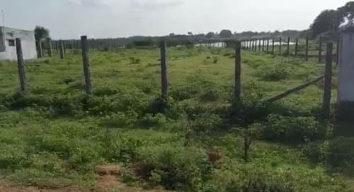 Land in Sanghiguda village, Shamshabad mandal, Rangareddy district - land 2465