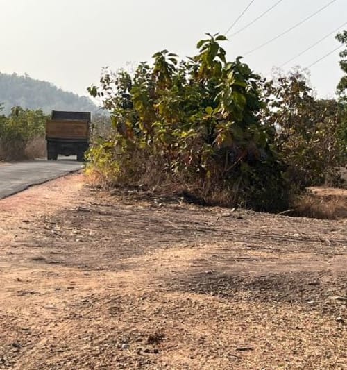 An image of land