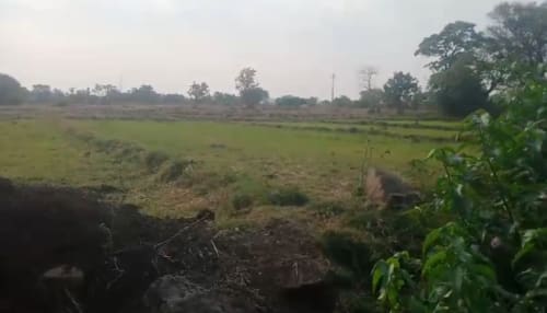 Land in Gottimukla village, Vikarabad mandal, Vikarabad district - land 2473