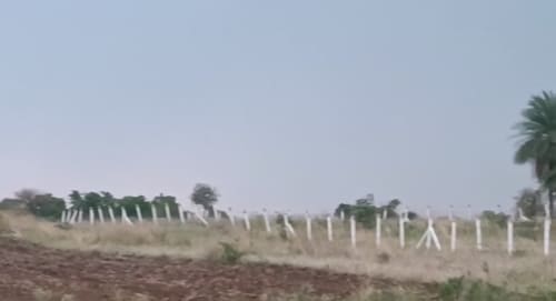 An image of land