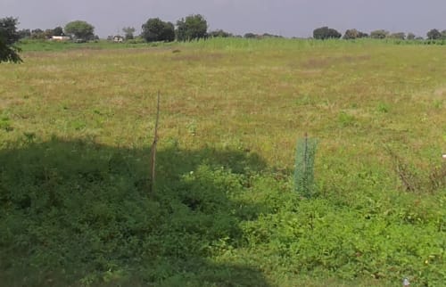 An image of land