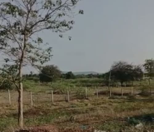 An image of land