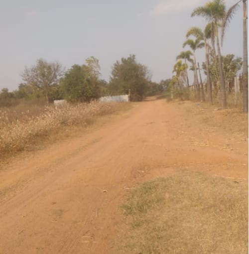 An image of land
