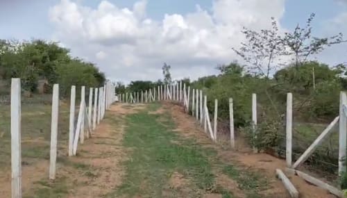 An image of land