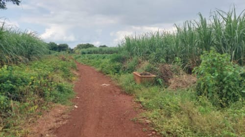 An image of land