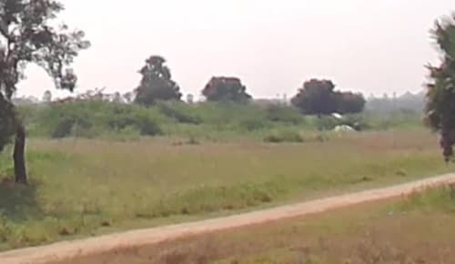 An image of land