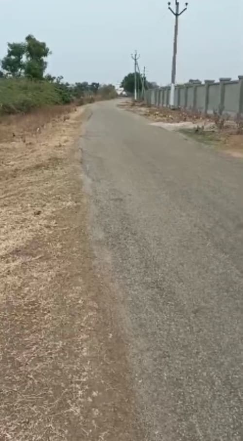 An image of land