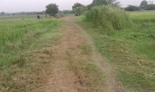 An image of land