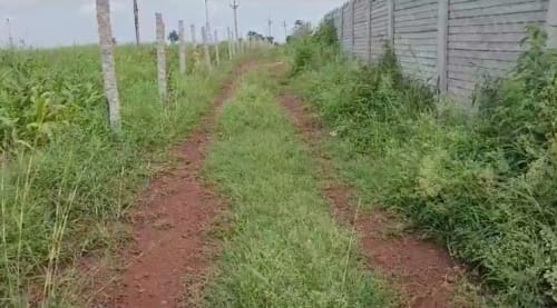An image of land