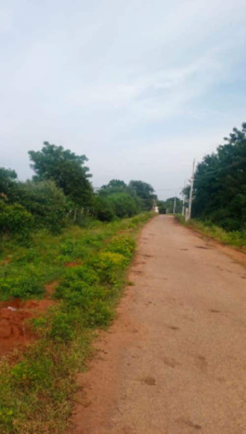 An image of land