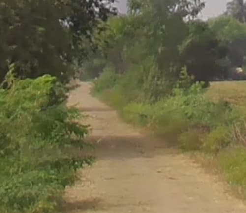 An image of land