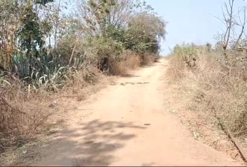 An image of land