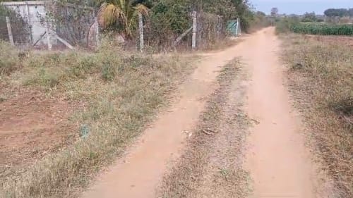 An image of land