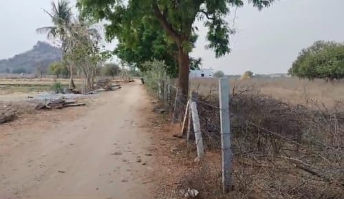 An image of land