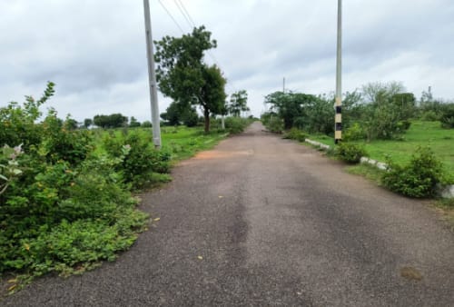 An image of land