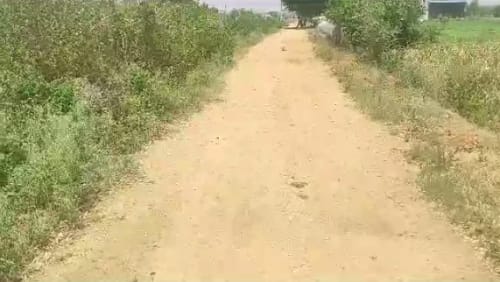 An image of land