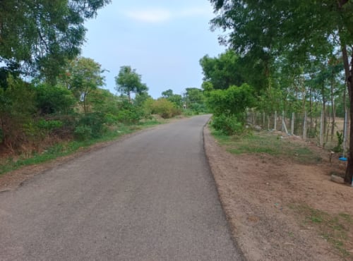 An image of land
