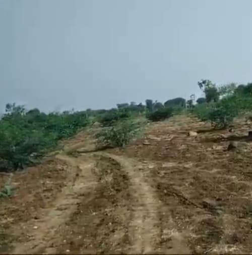 An image of land