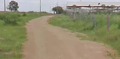 An image of land