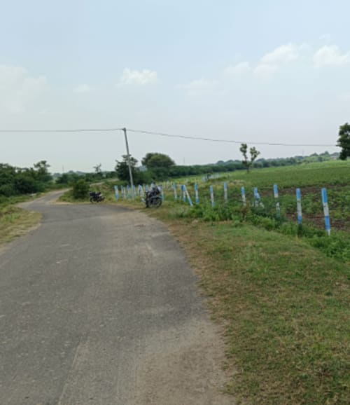 An image of land