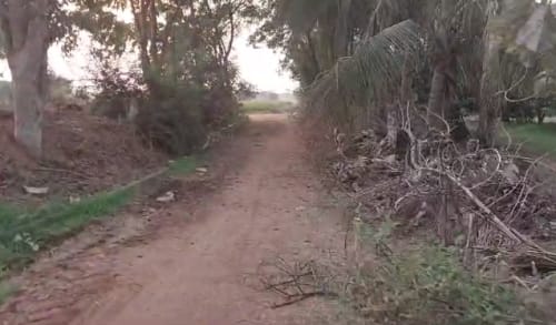 An image of land
