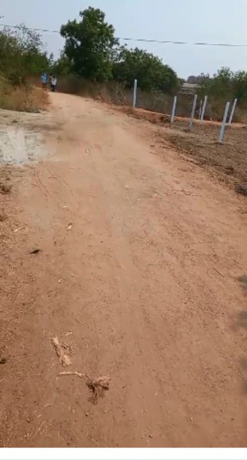 An image of land