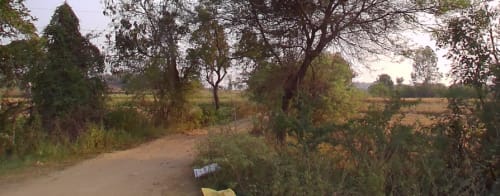 An image of land