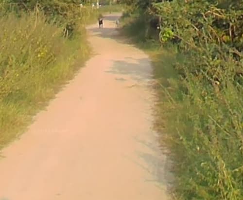 An image of land
