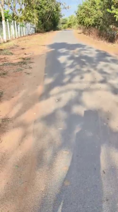 An image of land