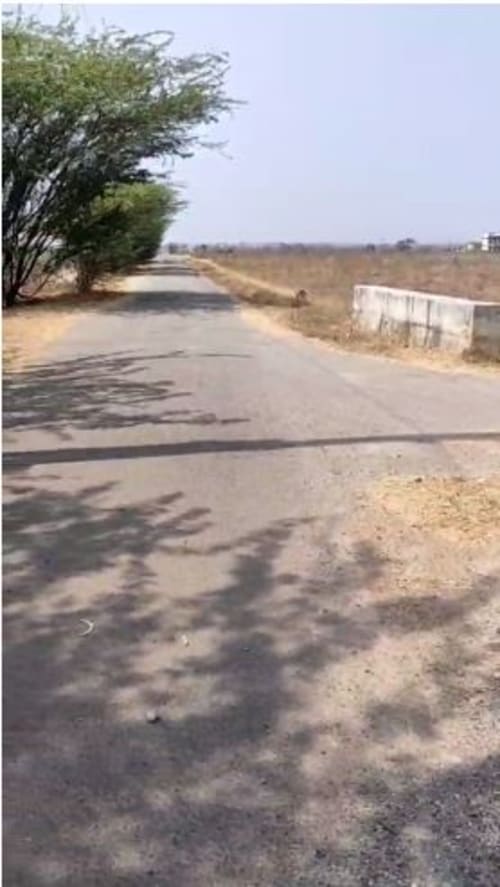 An image of land