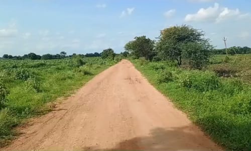 An image of land
