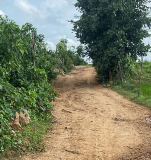 An image of land