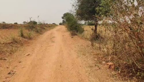 An image of land
