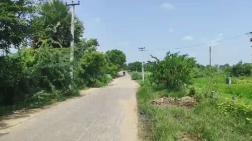 An image of land