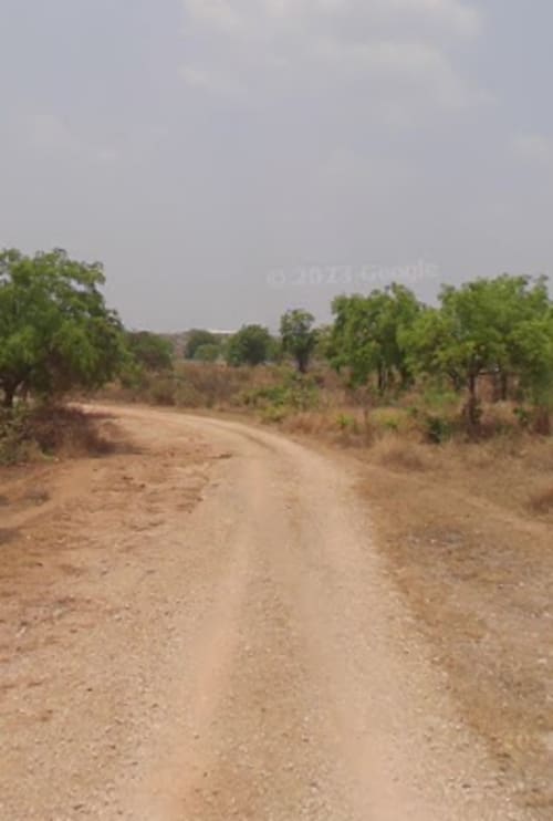 An image of land