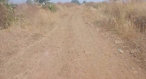 An image of land