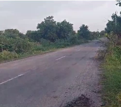 An image of land