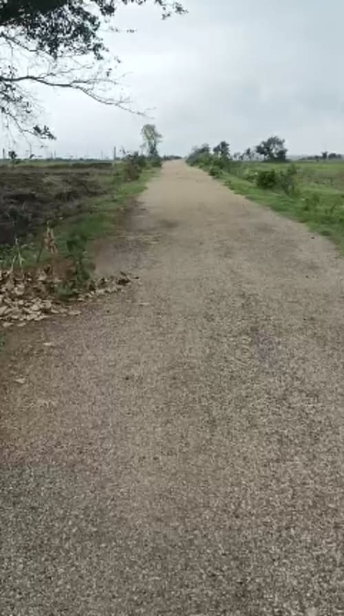 An image of land