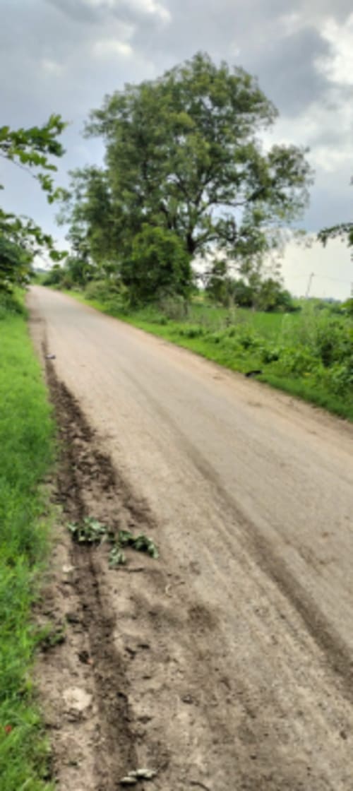 An image of land