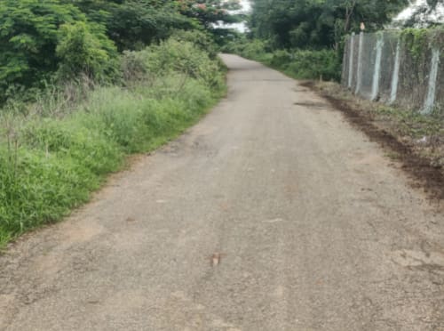 An image of land