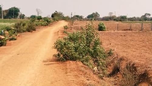 An image of land