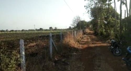 An image of land