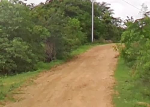 An image of land