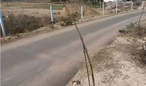 An image of land