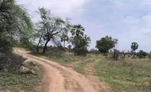 An image of land