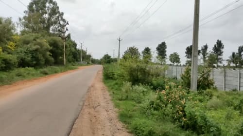 An image of land